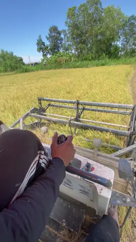 Chạy máy thập cẩm quen tay lên 93 hơi lạ 😅#xuhuong #dc70plus #dc93extra #kubota @Thọ 2k7 @🎠Thạch' Lan' 🎑 @Tuấnn Dũngg 🚜🌾 