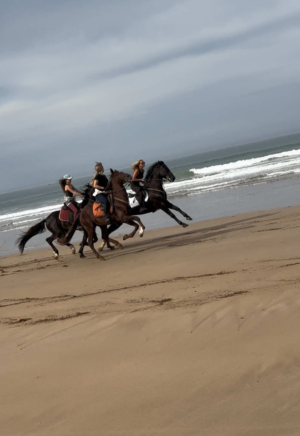 Yalaaaahhhh #horsegirlsoftiktok #ilovehorses #beachgallop #fyp #horsegirls #horsesmorocco  @Nere🌙 