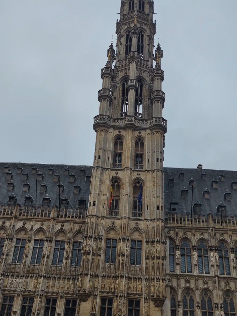 grande place Belgique  #belgium #belgique #grandeplacebruxelles🇧🇪 #paris #france🇫🇷 #fr #france 