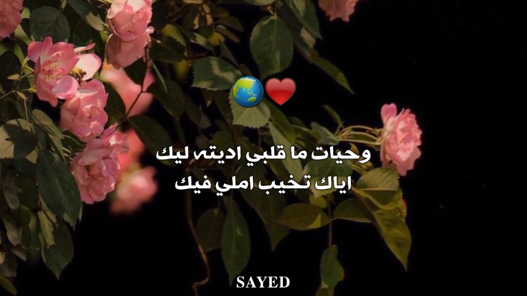 اياك تخيب املي فيك🥺♥#وائل_جسار #foruyou #fyyyyyyyyyyyyyyyy #forupage #foruyou #اغاني #حب #اغاني_رومانسية #loveyou 