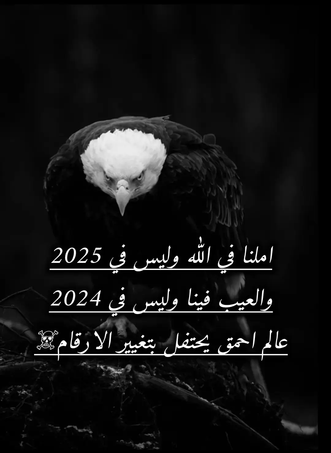 #قصائد_شعر_خواطر #الزعيم🎶 