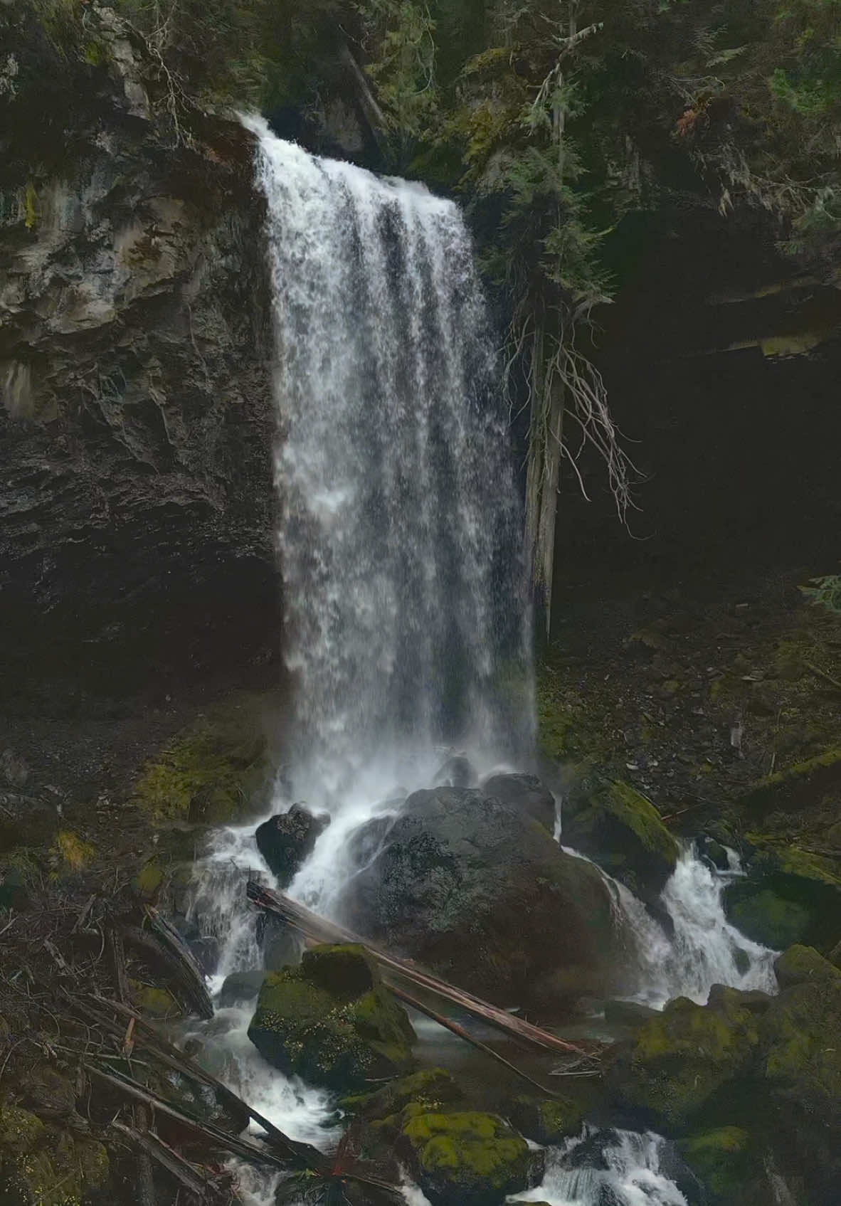 In awe of a magnificent waterfall plunging into a deep, lush canyon surrounded by the forest’s vibrant greenery—a true masterpiece of nature 🤩 #nature #Outdoors #cinematic #calm #waterfalls 