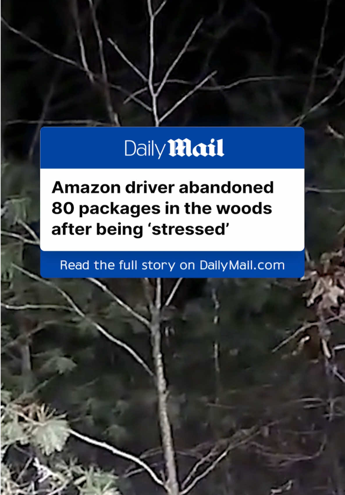 In Lakeville, Massachusetts, a routine 2am police patrol led to a surprising discovery: dozens of Amazon packages abandoned in the woods. The boxes, found about 42 miles south of Boston on Sunday, had not been reported stolen or misplaced, so police returned the packages to a nearby Amazon distribution center. For a day, the mystery lingered—until Monday, when the driver responsible came forward to confess. She admitted to ditching the packages on the roadside as she felt stressed. Read the full story at DailyMail.com. #amazon #news #Massachusetts #delivery #christmas #onlineshopping