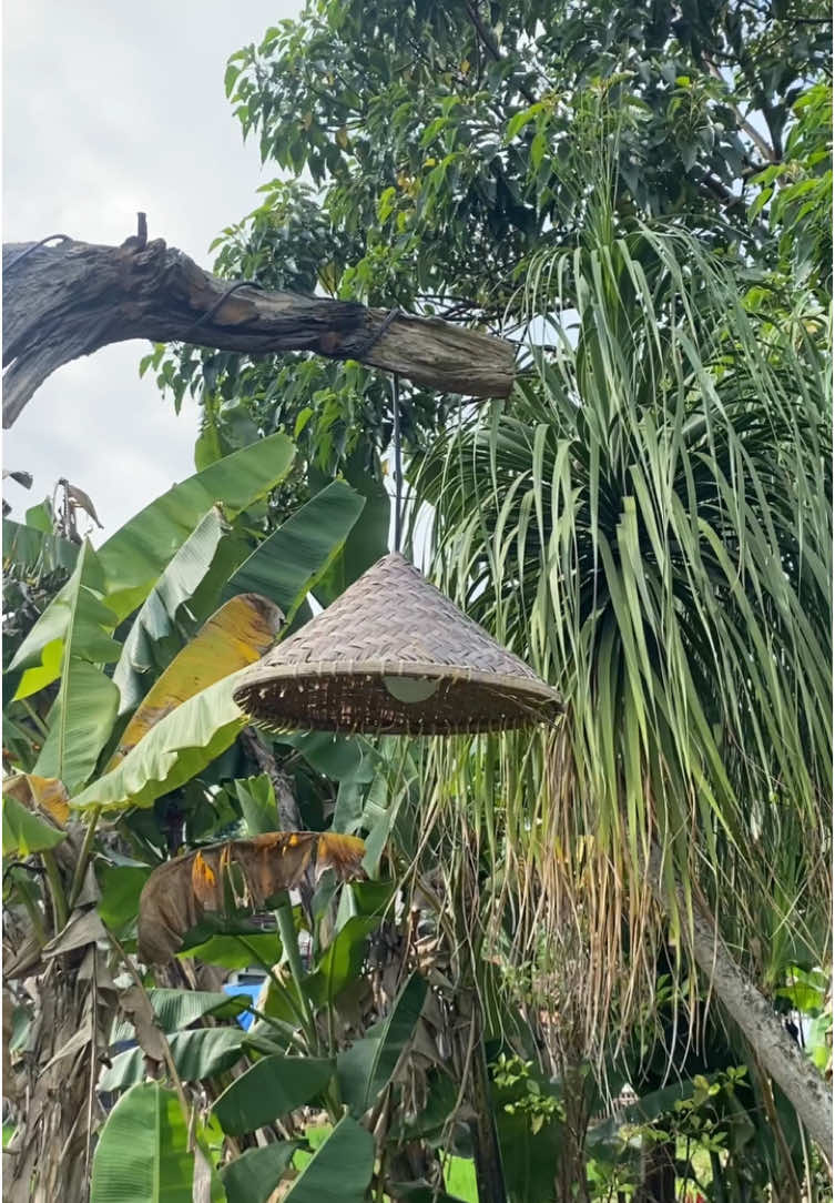 Maksi with a vievv #fyp #bebekireng #kulinerbandung #fypシ #sawah #rekomendasimakanan 