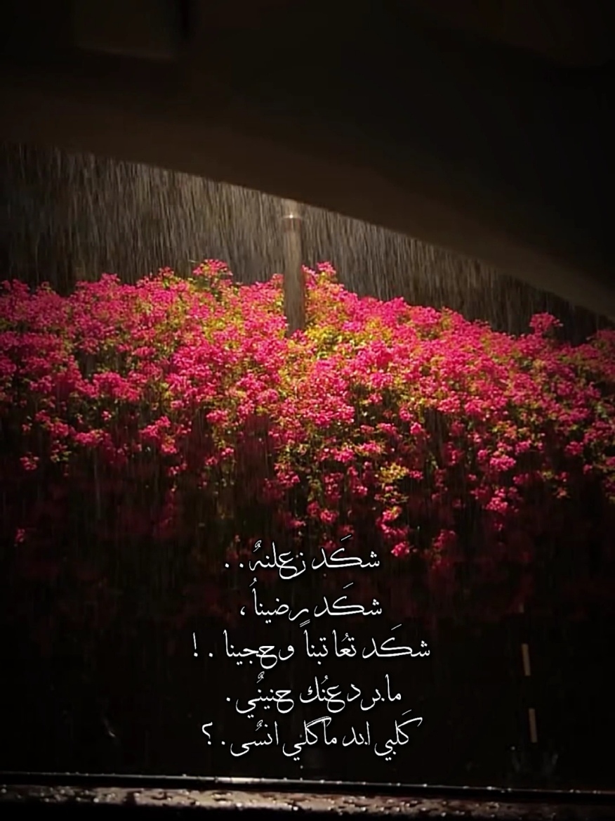 شكد زعلنه واشكد رضينه  #موسيقى #شعر #اغاني #حب 