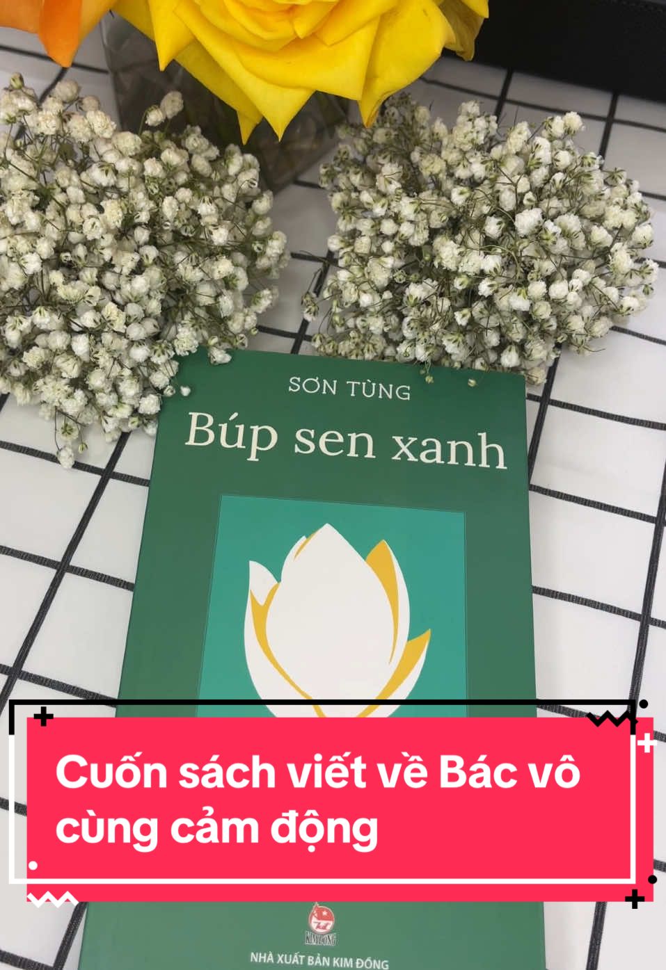 Búp Sen Xanh#thinhhanh #BookTok #review 