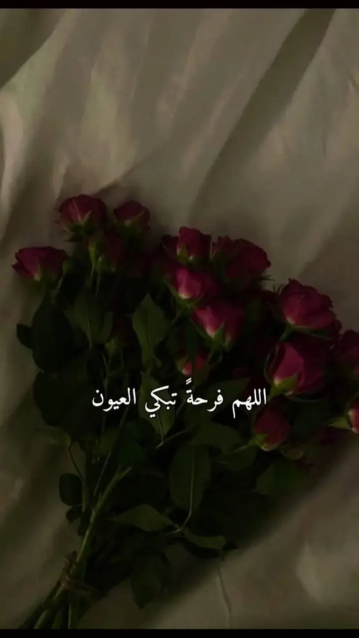 #دعاء_يريح_القلوب #دعاء_جميل #حمزه_بوديب #دعاء #ادعية_اسلامية_تريح_القلب #ادعيه #الاسلام 