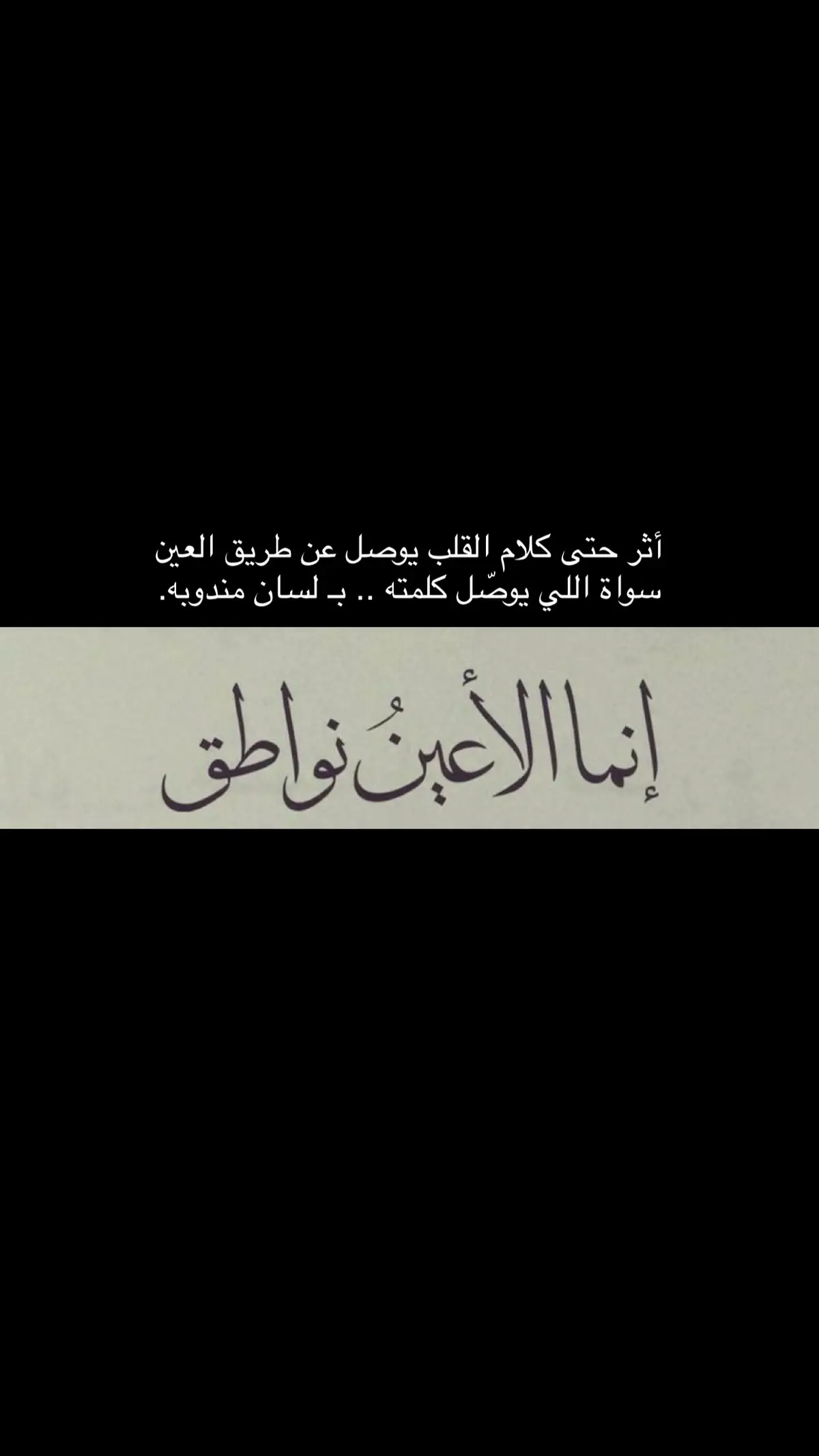 #اكسبلور#الشعب_الصيني_ماله_حل😂😂#قصيد#شعر#هاشتاق