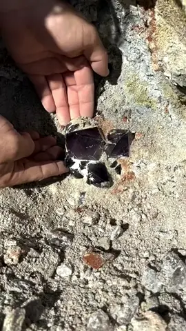 Found a beautiful Amethyst crystal in the arid desert. Experience the thrill of discovering stunning crystals in such a challenging environment. #Amethyst #DesertCrystals #NaturalCrystals #CrystalDiscovery #MineralSpecimen #AmethystCluster #NaturalBeauty #CrystalCollection #RareCrystals #uniquefinds