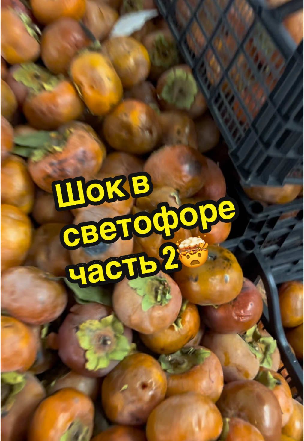 Ну что скажете по поводу «найсвежайших» фруктов ??  #светофор #фрукты #новыйгод #праздник #хурма #апельсин #обзор #новости #смешно #подарки #минск #вкусно #продукты #тренды 