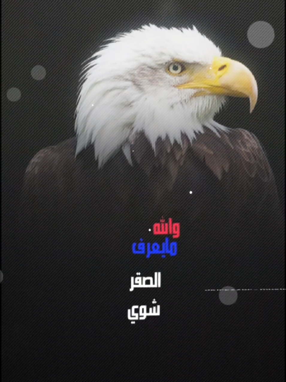 قالب فخمه #CapCut #كب_كات #قوالب_كاب_كات #قالب #قوالب #قوالب_كاب_كات_جاهزه_للتصميم #تصاميم_شاشه_سوداء #عبارات #تصاميم_فيديوهات #تصاميم #fyp 