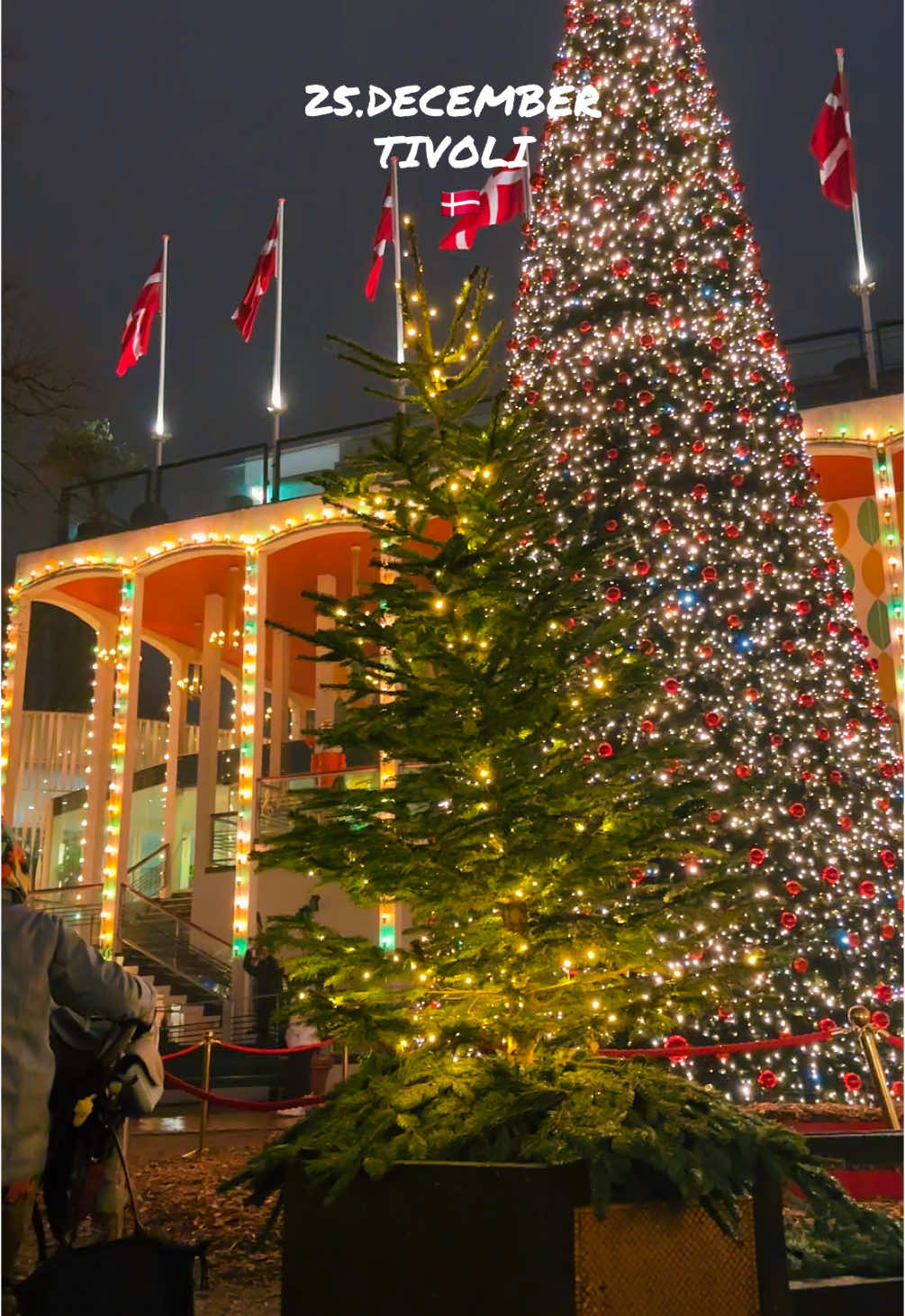 Merry Christmas 🎄🎅🏻❄️🎁#denmark #denmark🇩🇰 #fyp #copenhagenstyle #copenhagen #visitcopenhagen #scandinavia #goodvibesonly #foryourepage #tivoli #traveltiktok #santa #feelings #xmas #xmascountdown #christmas #christmastiktok 