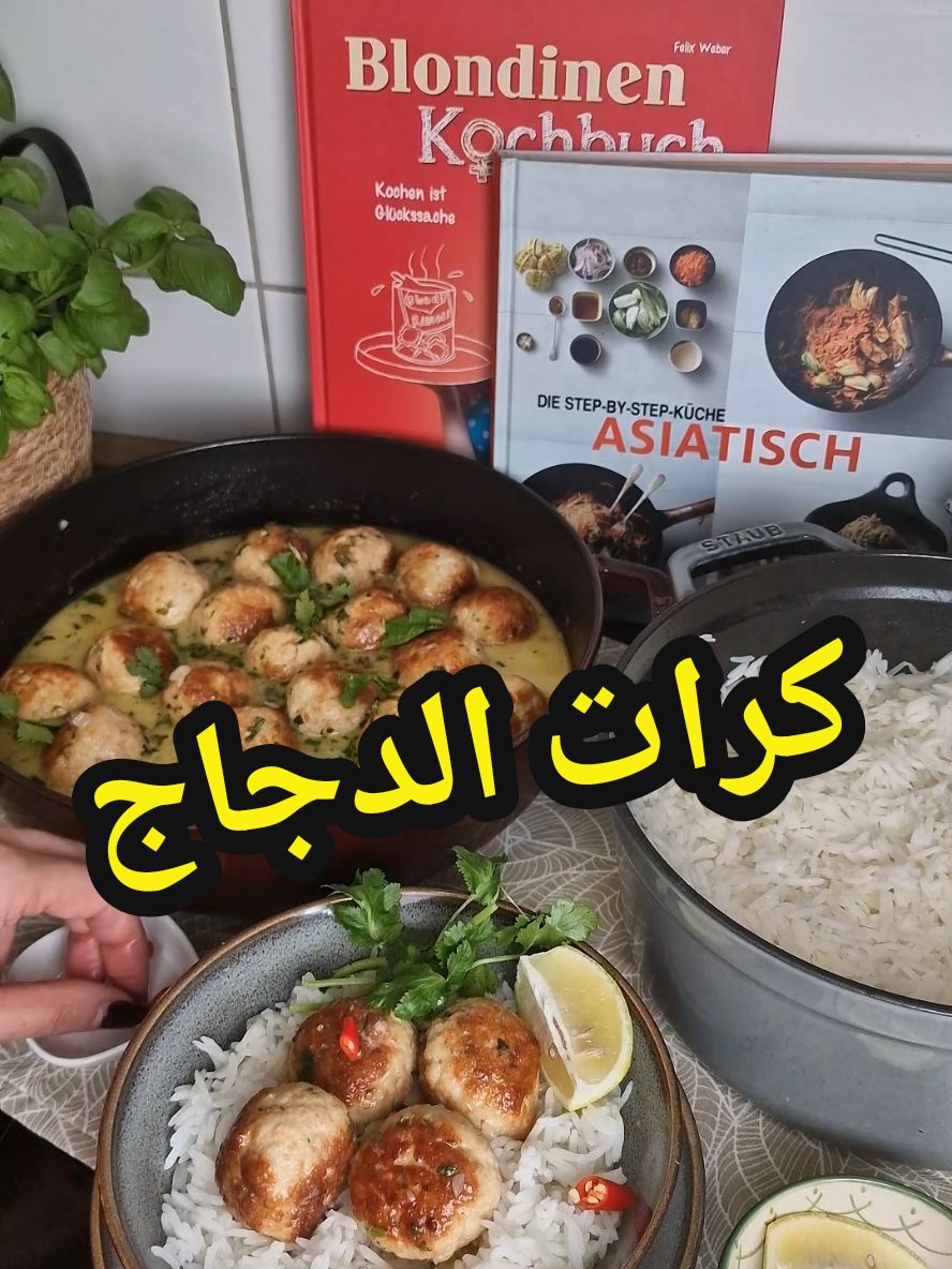 وصفة سوبر طيبة وغنيه بالنكهات كرات الدجاج مع صوص بحليب جوز الهند 🥥  #tiktokcookbook #طبخاتي #وصفات_منولة #manalskitchen2 #chicken #meatballs #دجاج 