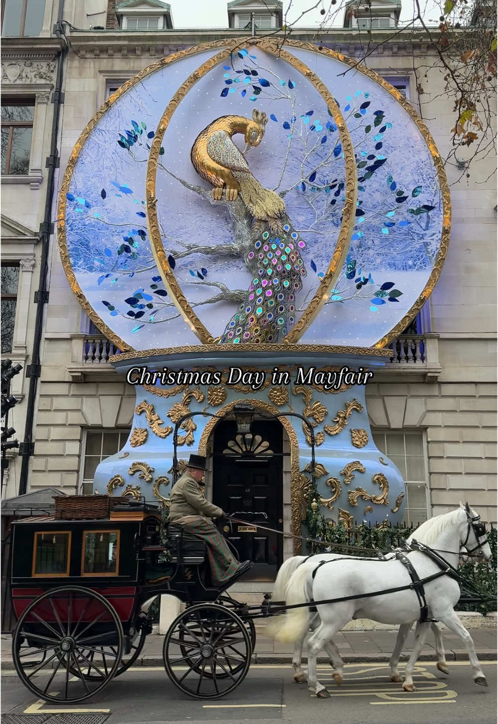 Wishing you all a Merry Christmas! #london #christmas #christmasday #mayfair #christmas2024 #festive #happyholidays #merrychristmas #festiveseason @Claridge’s @annabelsmayfair @The Connaught @Mayfair - London 