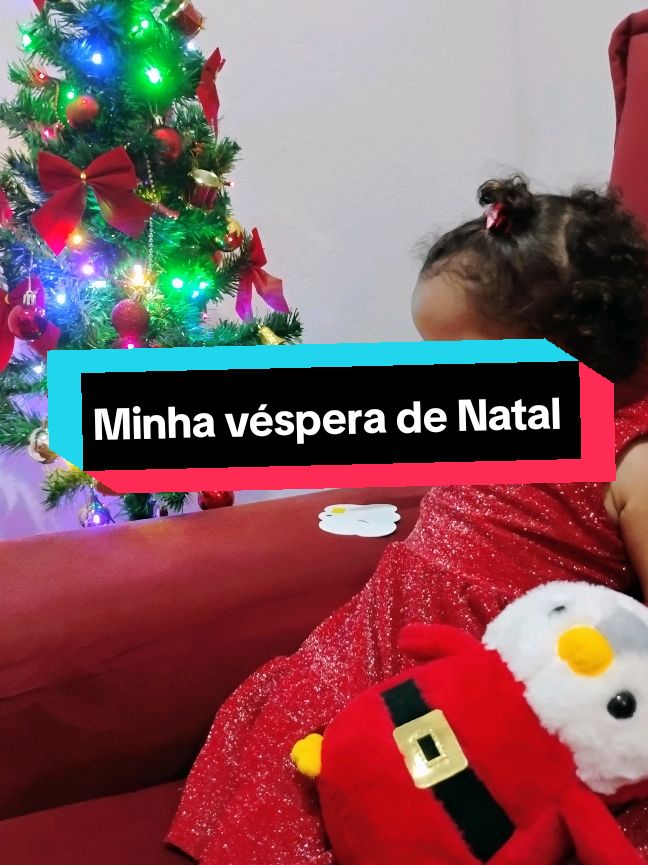 Minha véspera de natal um tanto quanto caótica! #fyppppppppppppppppppppppp #fouryou #fyp #natal #ceiadenatal #ceia 