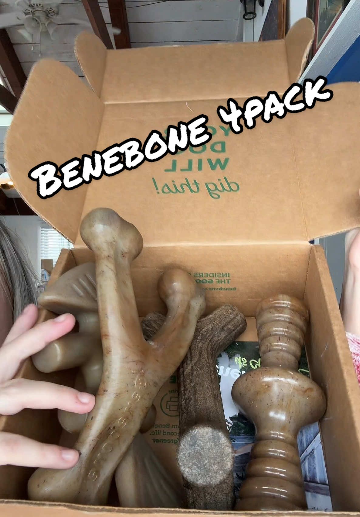 Replying to @hankinson2021 we just got our new box in the mail! @Benebone #dogbone #dogtoys #dogchews #benebone 