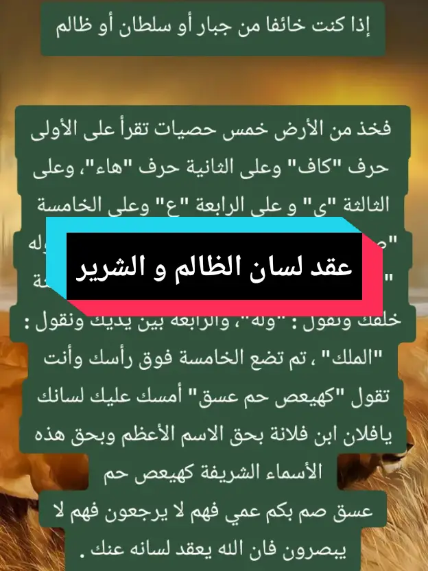 #مجربات_نافعه_جدا_اللقضاء_الحوائج #مجربات_اهل_البيت_عليهم_افضل_السلام #مجربات_روحانيه #tik_tok #explore #اكسبلور #fyyyyyyyyyyyyyyyy #fvp #fouryou #فرنسا🇨🇵_بلجيكا🇧🇪_المانيا🇩🇪_اسبانيا🇪🇸 