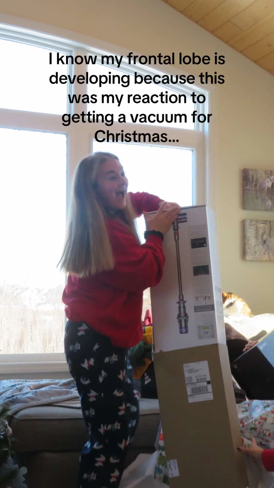 #adulting #christmas2024 #dyson #vacuum #dysonvacuum 