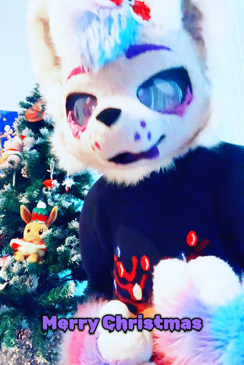 Merry Christmas from Dallas, Texas #furry #furries #fursona #fursuitfriday #furryfandom #furrytiktok #fursuiting #fursuiter #happyholidays #christmas #xmas #furrycommunity #festiveoutfits #fursuit 