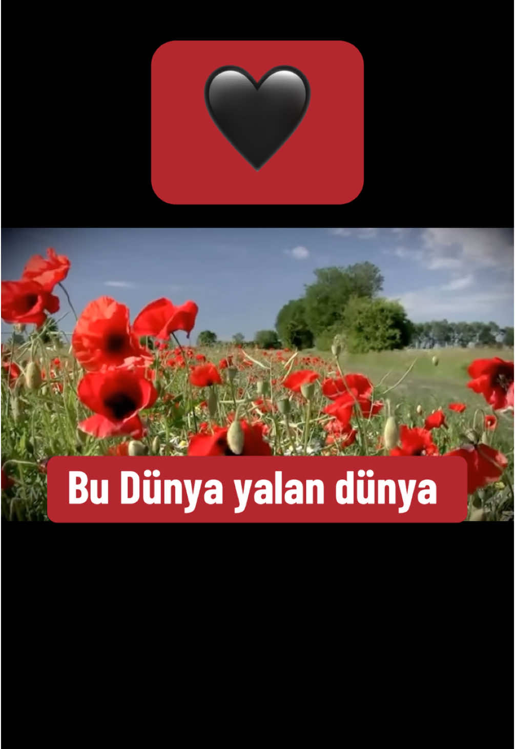 Tağı Salahoğlu bu dünya yalan dünya 