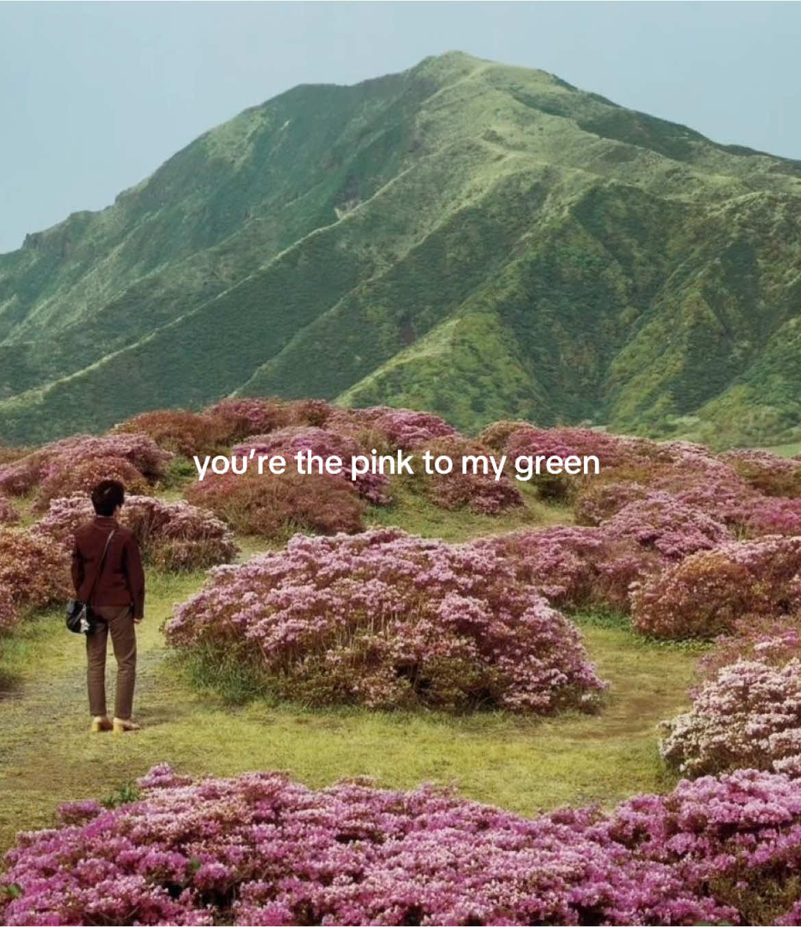 idk if that makes sense #visionboard #green #pink #fyp #targetaudience #viral 