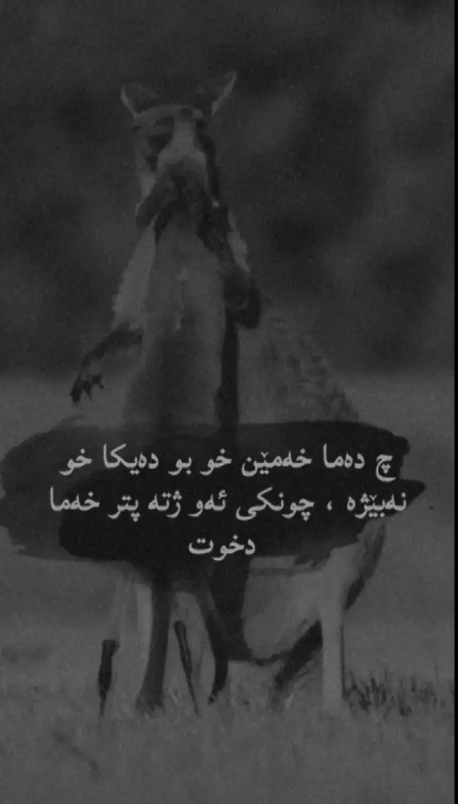 #ربیل_سلیمانی_کرکوک_عراق💔 #😭😢😔💔🥀🖤🥺😥💔🥀🖤😭😢😔 