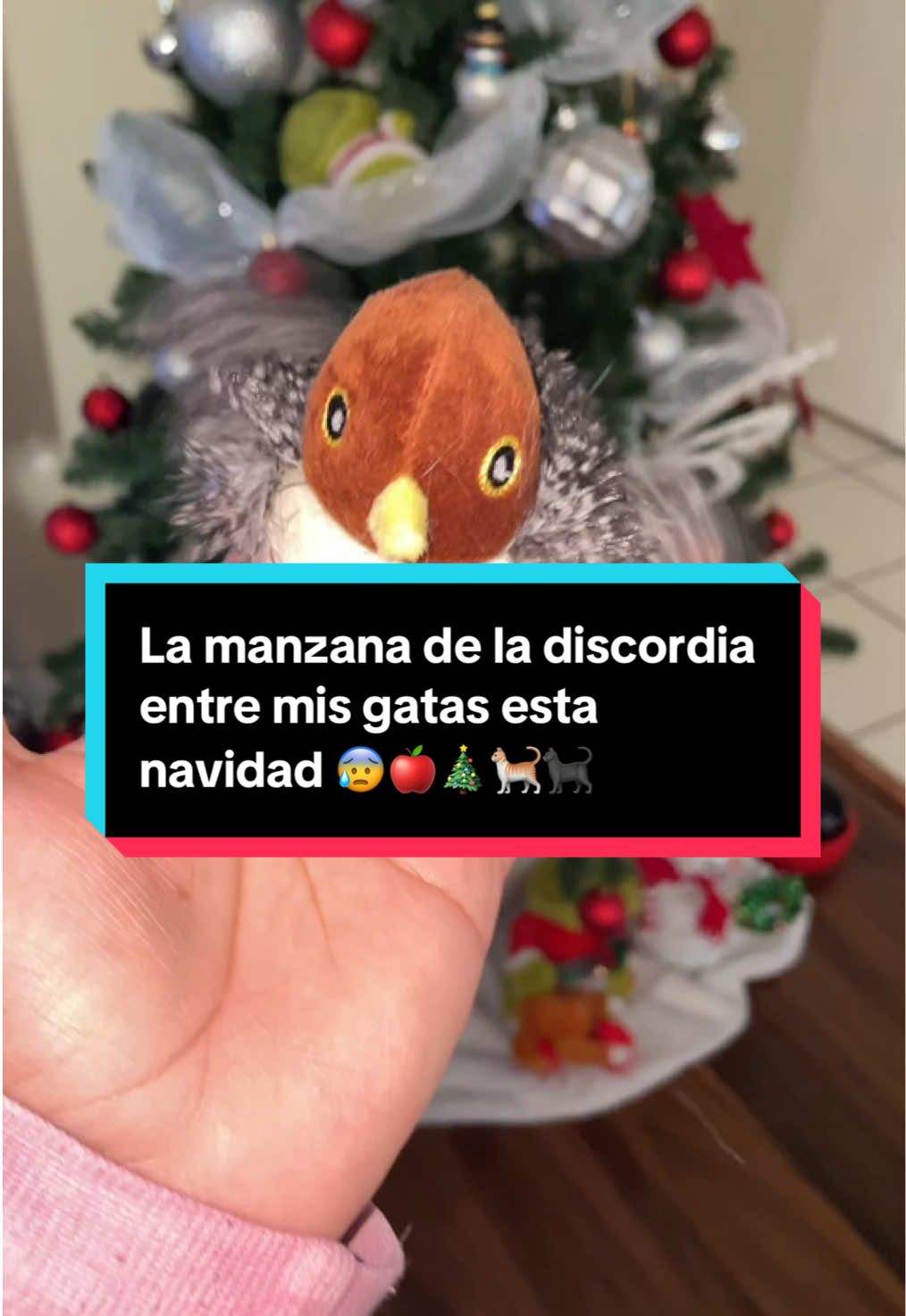 Nunca imaginé la guerra que desataría 😂😂😂 #cats #catsoftiktok #gatos #gatostiktok #juguetes #juguetesparagatos #juguetesparamascotas #potaromacattoys #potaroma #gatitostiktok #gatitosgraciosos #navidad #merrychristmas #paratii #TikTokShop #laadri505 #LiveOutlandish