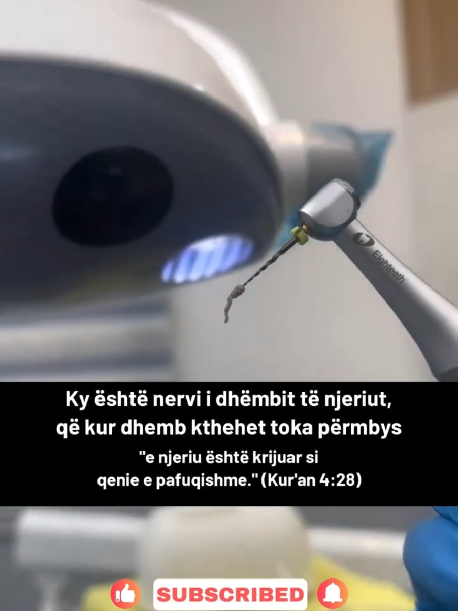 (Nervi i dhëmbit të njeriut) 