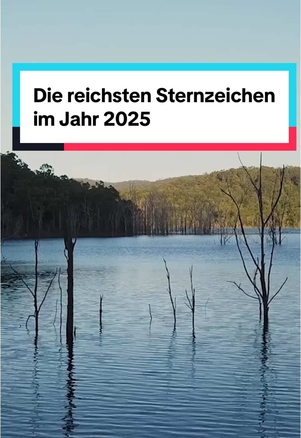 Die reichsten Sternzeichen im Jahr 2025 #astrologie #sternzeichen #horoskop #tierkreiszeichen 