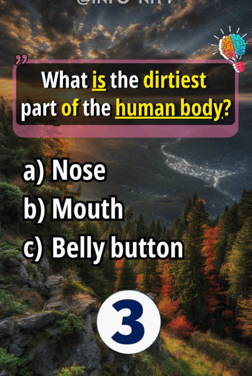 Anatomy Quiz for Americans - Comment how many did you get? #quiz #quiztime #trivia #anatomy #biology #generalknowledge #fyp #makeitviral #usa_tiktok 