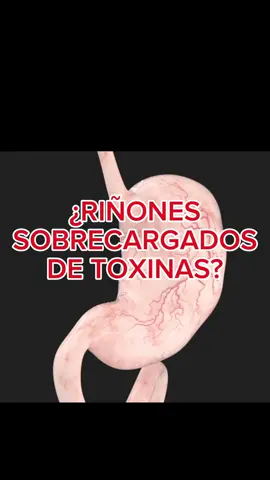 ¿Tus riñones necesitan un detox?  Descúbrelo aquí #cuerposano #suplementos #usa🇺🇸 #mexico🇲🇽 #vidasana #desintoxicacion #toxinas #detoxdrink #detox #detoxtea #riñones #saludrenal #renal