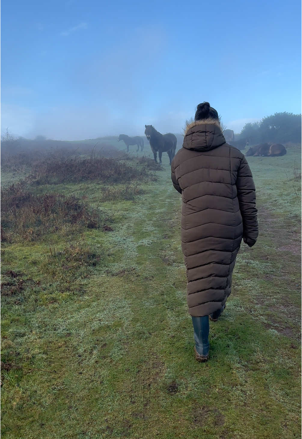 Christmas Day walk #countrylife #wildhorses #horsetok #10ksteps #countrygirl #hunterboots #mudwalk 