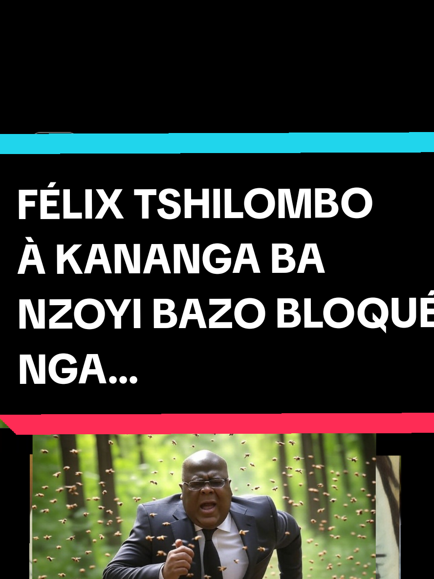 #congofrance🇨🇩🇨🇵 #rdcongo🇨🇩 #congobelge🇨🇩🇧🇪 #kinshasa🇨🇩 