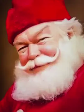 Frohe Weihnachten!#weihnachten #weihnachtsgrüsse 