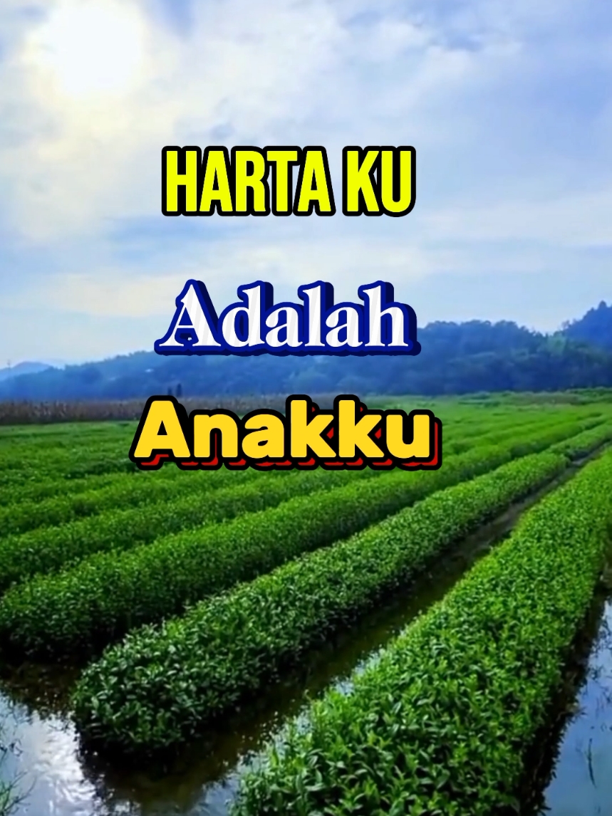 hartaku adalah anaku #katakatamutiara #katakatabijak #katakatamotivasi #CapCut #fyp 