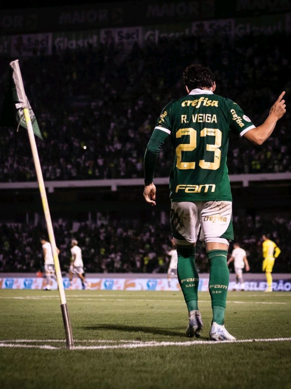 Goosebumps - Travis 🤠(Obrigado pelos 4k❤️ #raphaelveiga #palmeiras #foryou #fyp #palmeirasminhavidaevoce #veigapalmeiras #fy