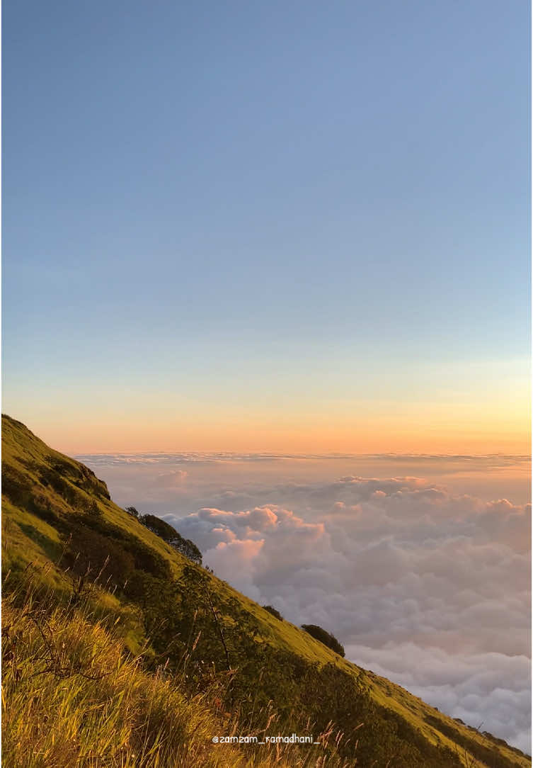 Ketika sindoro sesuai ekspektasi #gunung #gunungsindoro #sindoroviakledung #fyp 