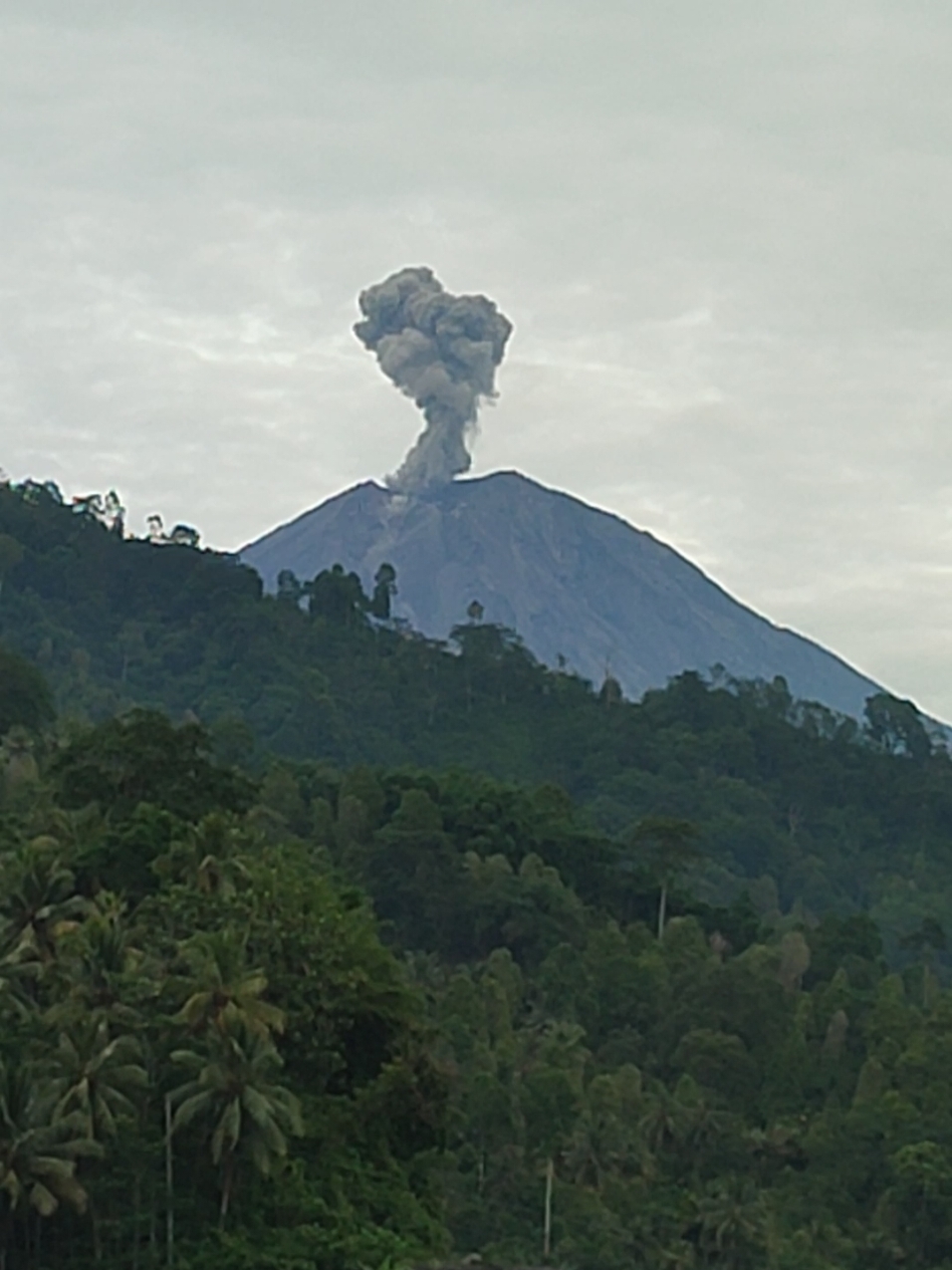 Hari ini terjadi letusan Gunung semeru #beritatiktok #hariini #semeru #erupsi 