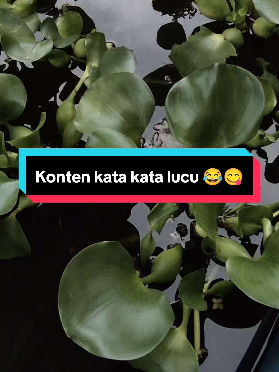 konten kata kata lucu 😂😋 #katalucu😂🤣 #kontenlucu🤣🤣 #katakatalucu🤣🤣🤣 