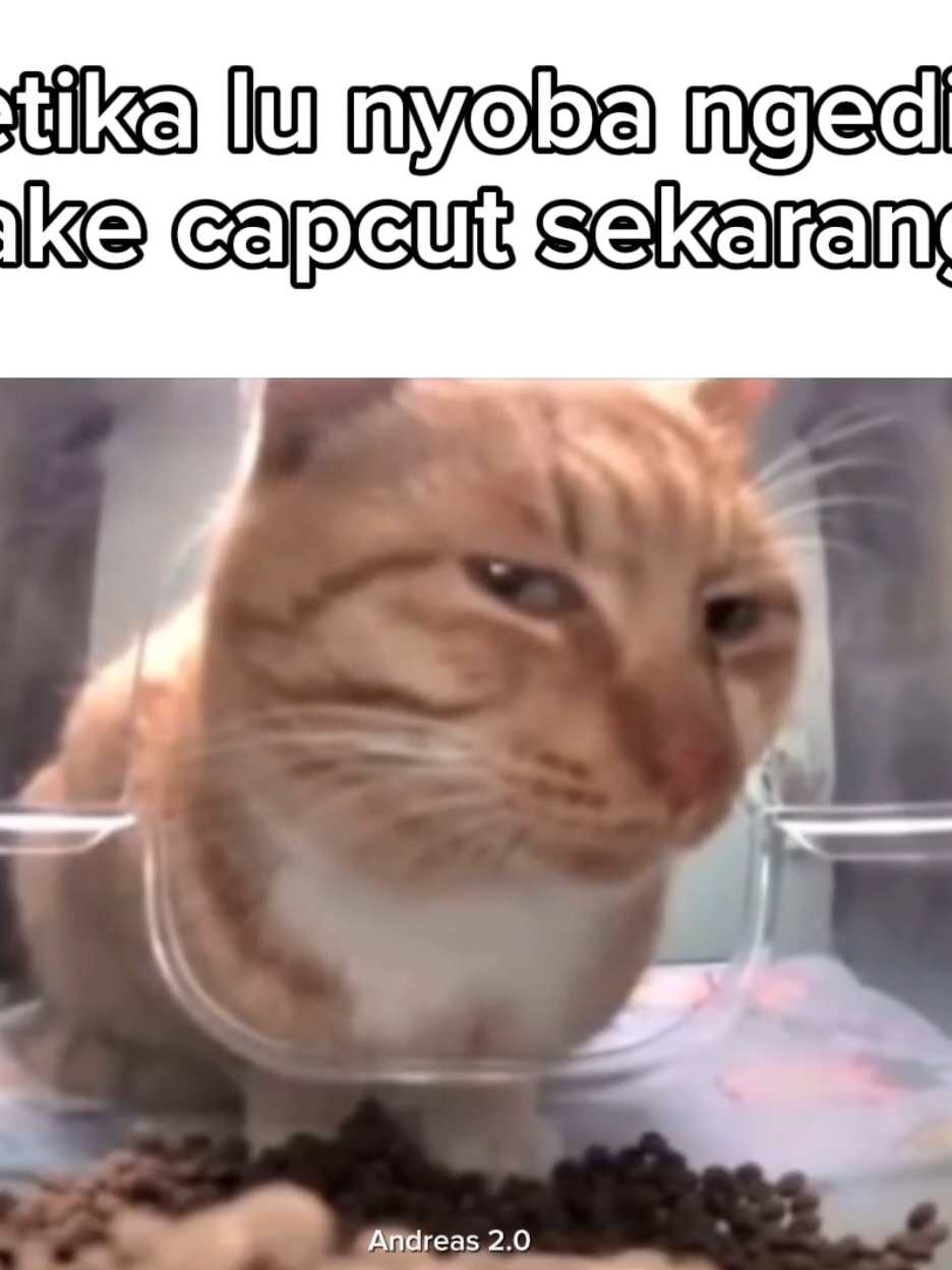 kebelet haji rek #fyp #capcut #meme #pastikanfyp #xyzabc 