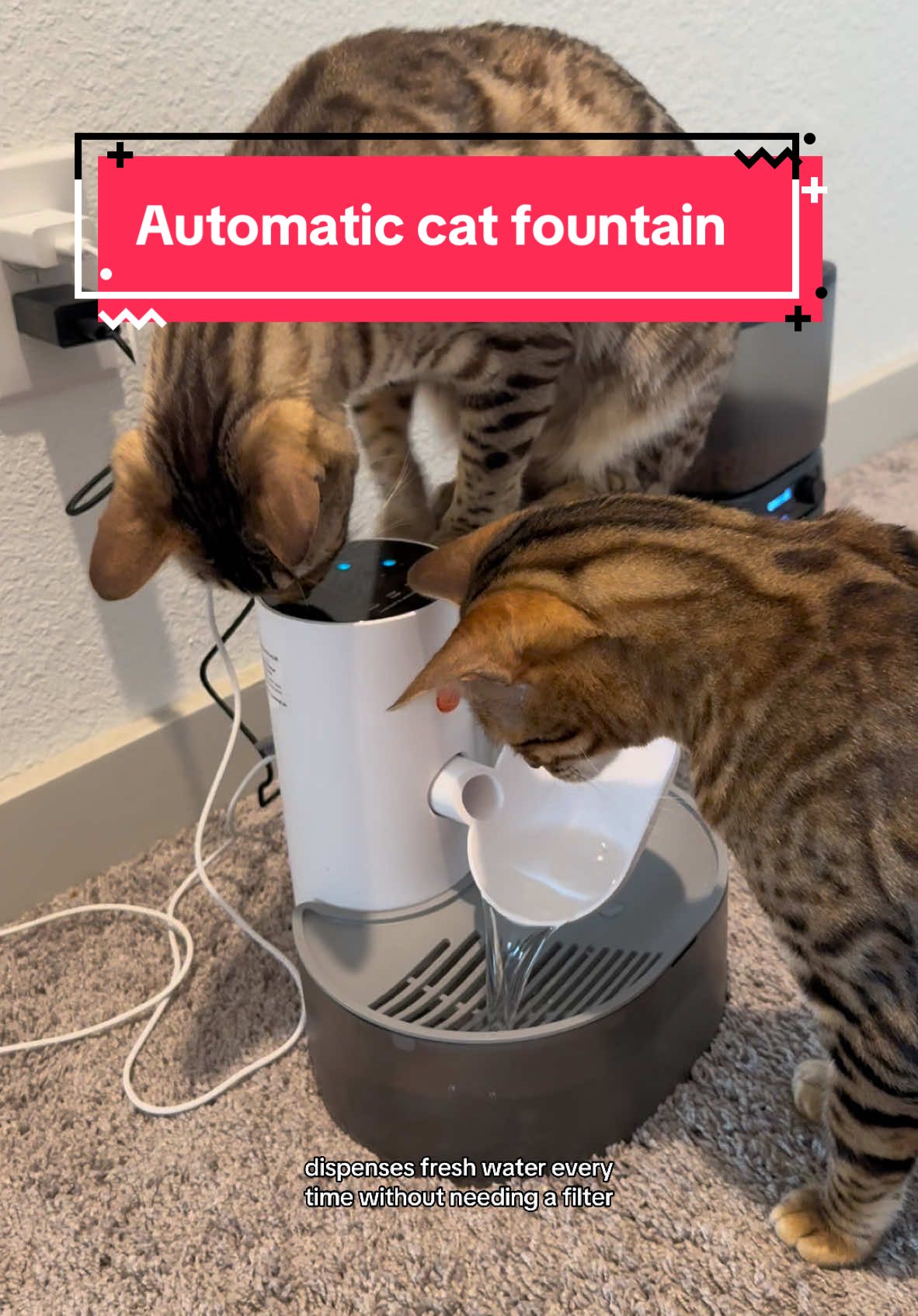 It’s soo cool! 😎 #catfountain #catmom #cats #catlovers #PetsOfTikTok #petsupplies #waterfountain #freshwater #thirsty #tiktokshopfinds #tiktokshopping #tiktokshoppingpaydaysale #endoftheyear #newyearnewme 