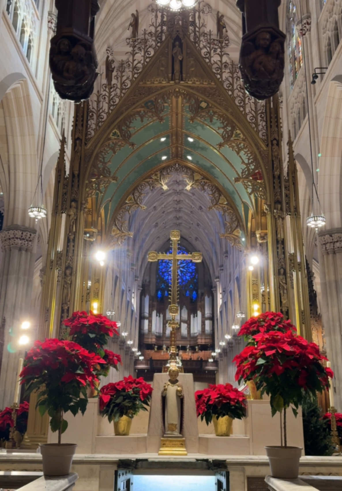 Catedral de San Patricio. ¡Feliz Navidad! 🙏✨❤️ 