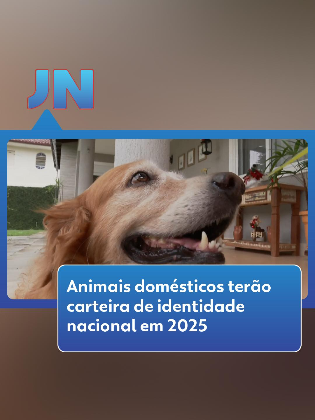 🐾Cadastro para pets - A partir de 2025, animais domésticos vão ganhar uma carteira de identidade nacional. O documento vai ajudar no controle de doenças e no combate aos maus-tratos. Agora é lei. O governo está criando o cadastro nacional de animais domésticos, que vai dar um número de identidade único e intransferível para cães e gatos. Esse documento vai reunir informações do pet ao longo da vida. O sistema está em fase final de testes e deve ser liberado em janeiro. Para emitir a identidade, o tutor vai ter que acessar o sistema usando a conta gov.br. É preciso fornecer os dados do responsável, endereço, idade e raça do animal, histórico de doenças e vacinas. O cadastro vai gerar uma carteirinha com a foto do cachorro ou gato. E também um QR Code que pode ser impresso e preso na coleira. ONGs e municípios poderão fazer o cadastramento. Segundo o governo, tudo de graça. Saiba mais no #g1. #cachorro #gato #jn #pets #tiktoknotícias