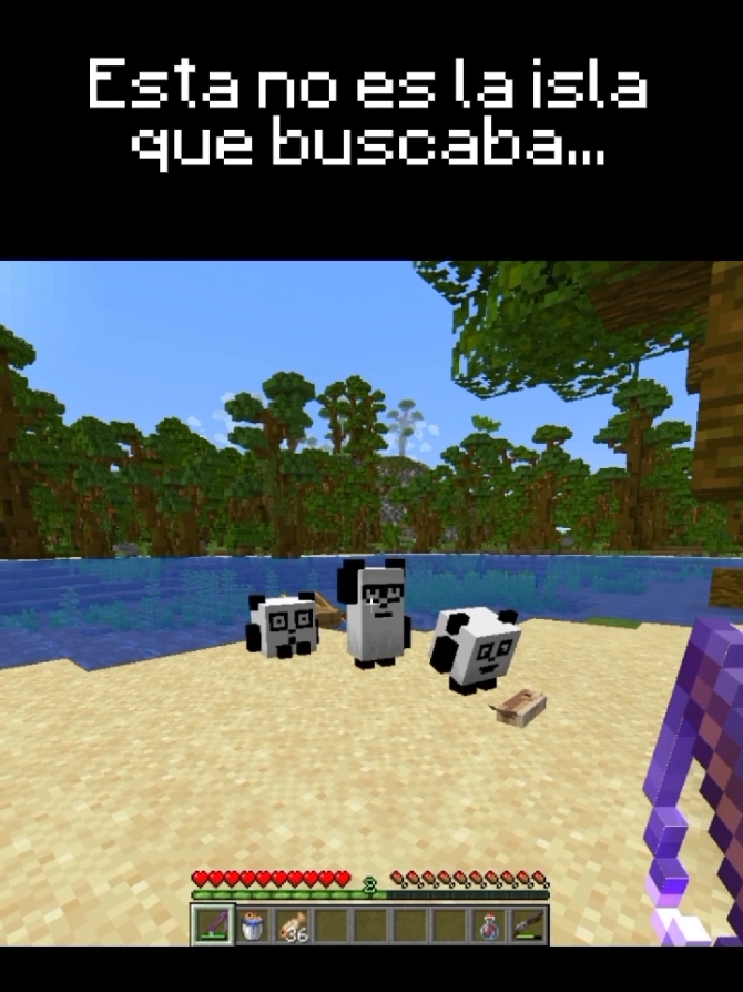 Tres pandas en la jungla, saltan juntos, sin pregunta . . . #fyp #fypシ゚ #Minecraft #minecraftonly #minecraftfyp #minecrafttiktok #minecraftmemes #memes #humor #threepandas #3pandas #flashgames #nostalgicgames #games