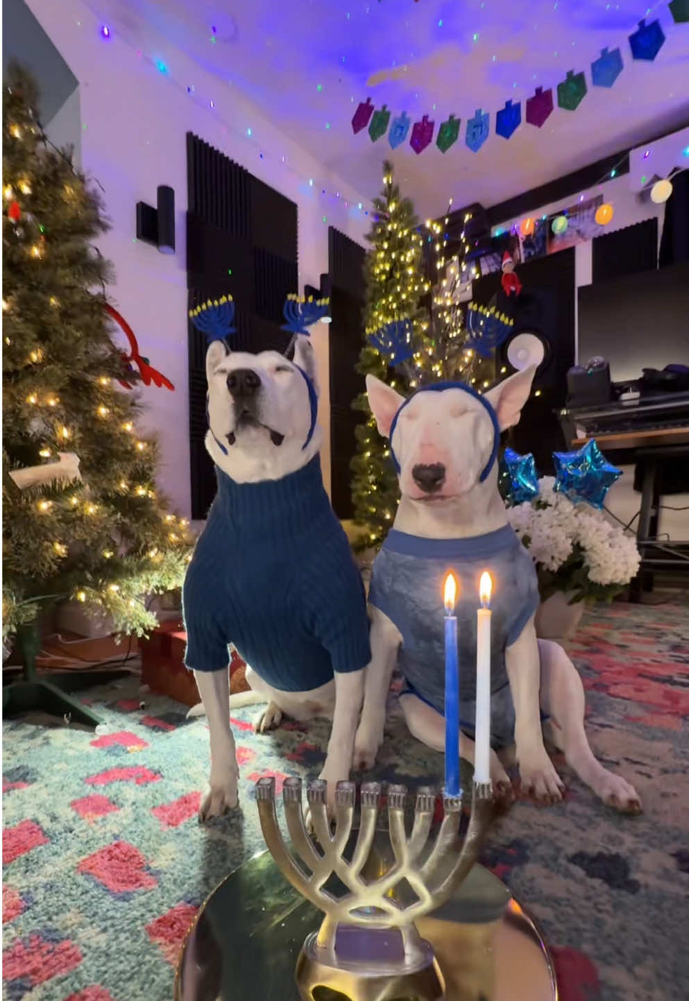 Happy Hanukkah! 🕎💙✡️ #happyhanukkah #chanukah #maine 