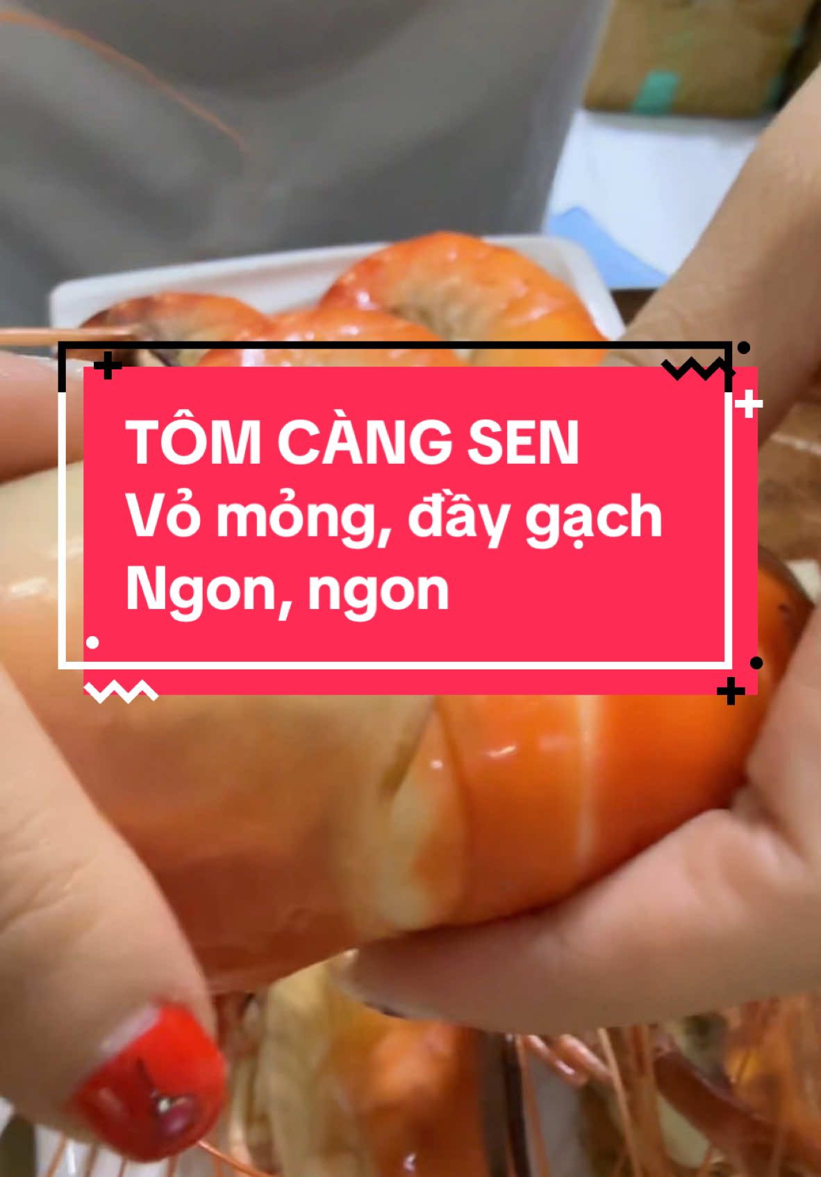 Tôm càng sen vỏ mỏng, đầy gạch tươi ngon nè cả nhà ơi #haisanmoingay #tôm #tomcangsen #tomcang #fyp  @Hải Sản Mỗi Ngày 