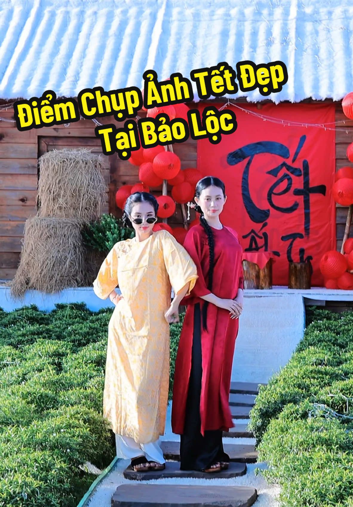 Đia điểm trang trí noel đep nhất Bảo Lộc#thodandalad#sunvalleyfarm#chupanhtet#tet2025# 