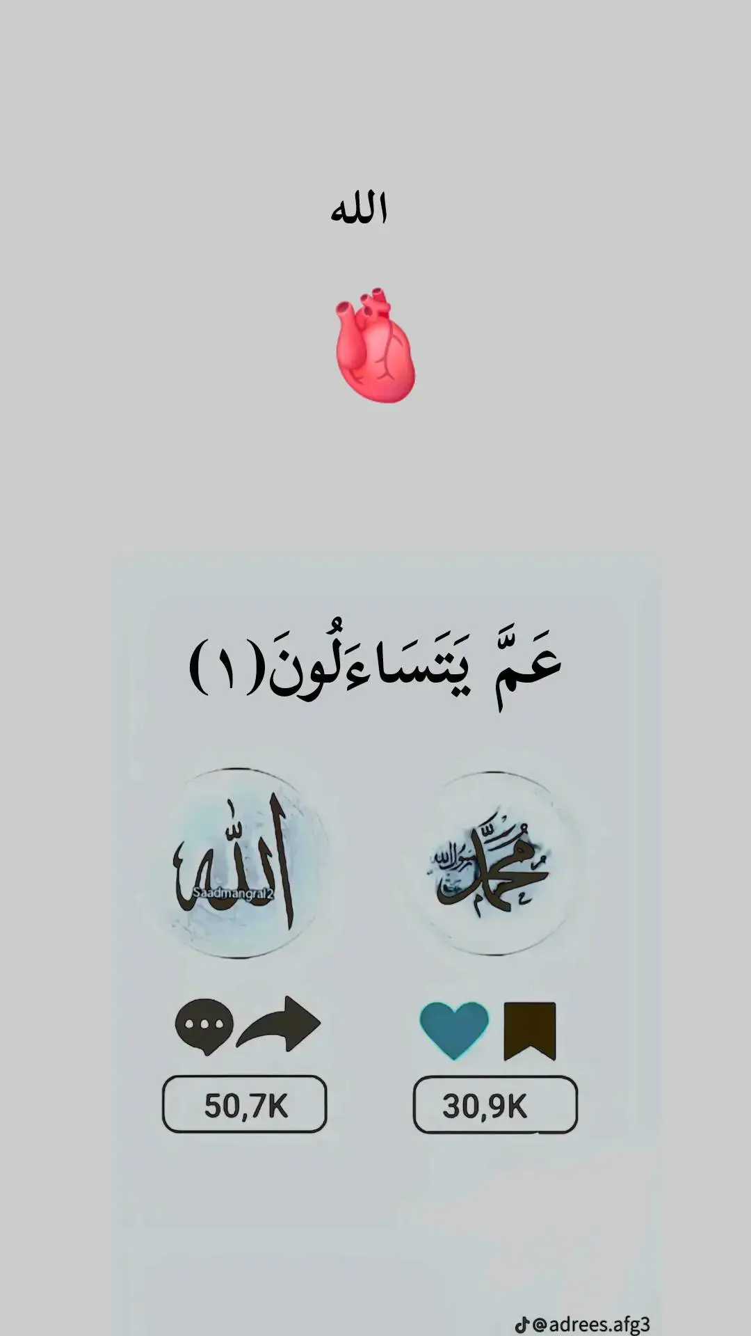 #quran_alkarim #عم یتساءالون سورة #evereonetiktok #foryoupage 