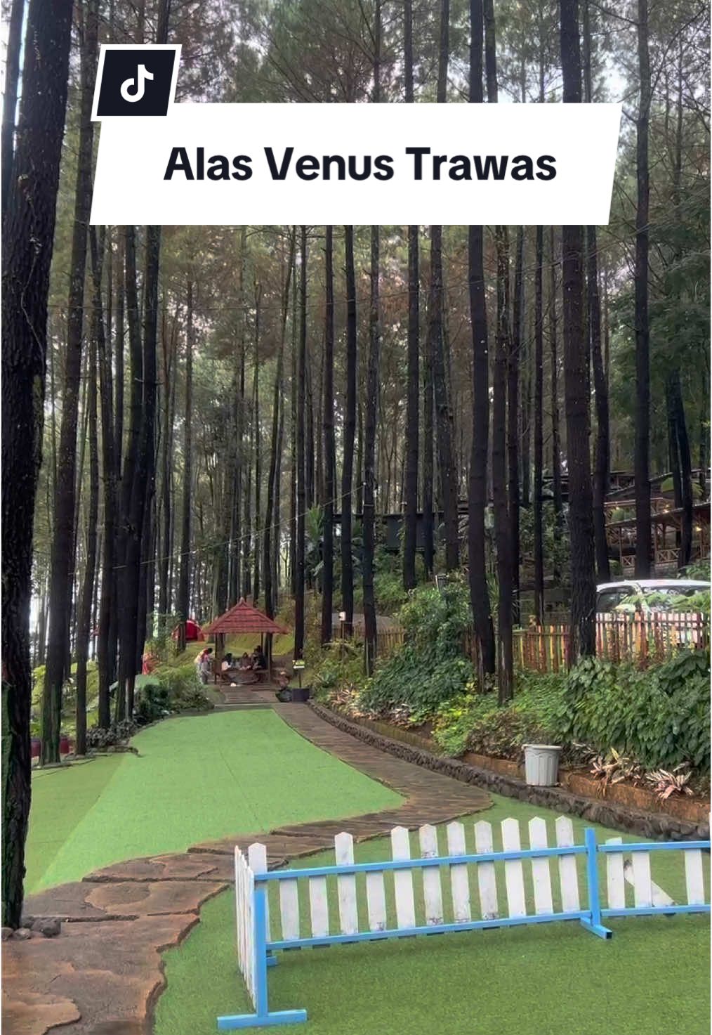 Saran saya kesini mending pagi gaaees,soalnya kalau agak siang sudah rame #alasvenustrawas #playgroundalasveenustrawas #healing #wisatatrawas #kolamrenangtrawas #wisatamojokerto #fyp #fypage #fypdongggggggg 