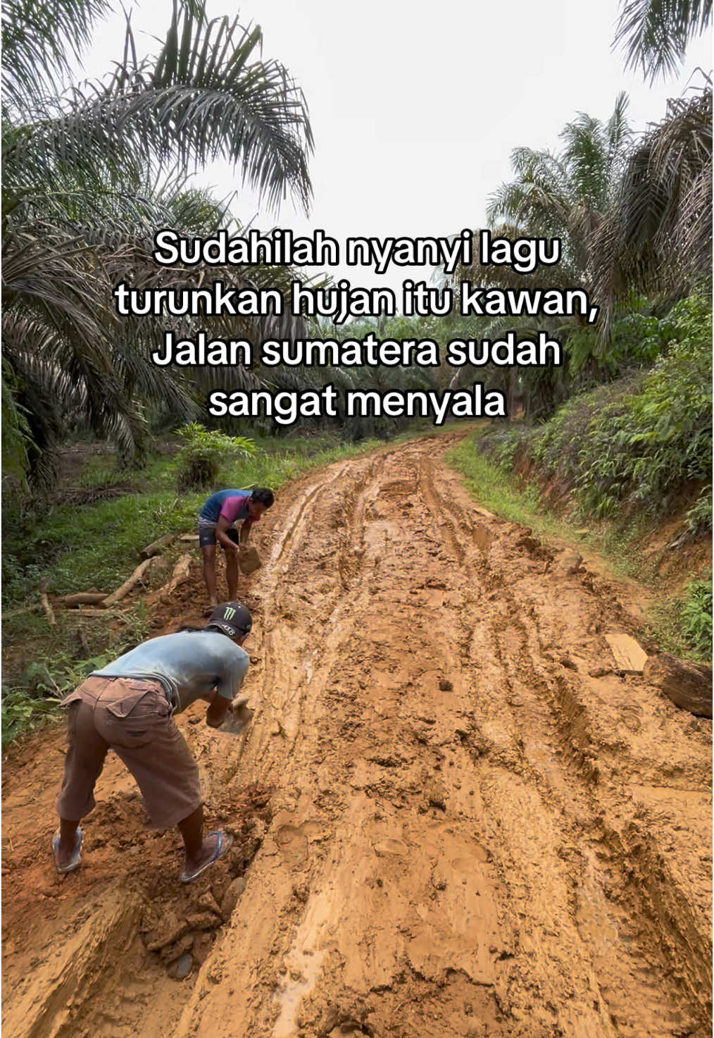 Hancurr tuan #maesojenar #kurirsawit #sawit🌴🌴 #sawit🌴 #fypシ #sawitontiktok #petanimuda #sawitsumatra #jalansumatera #langsirsawit 